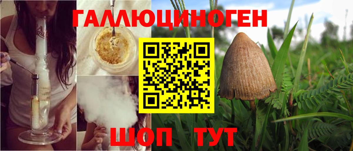 Осинники  Псилоцибиновые грибы прущие грибы  Вход с VPN 