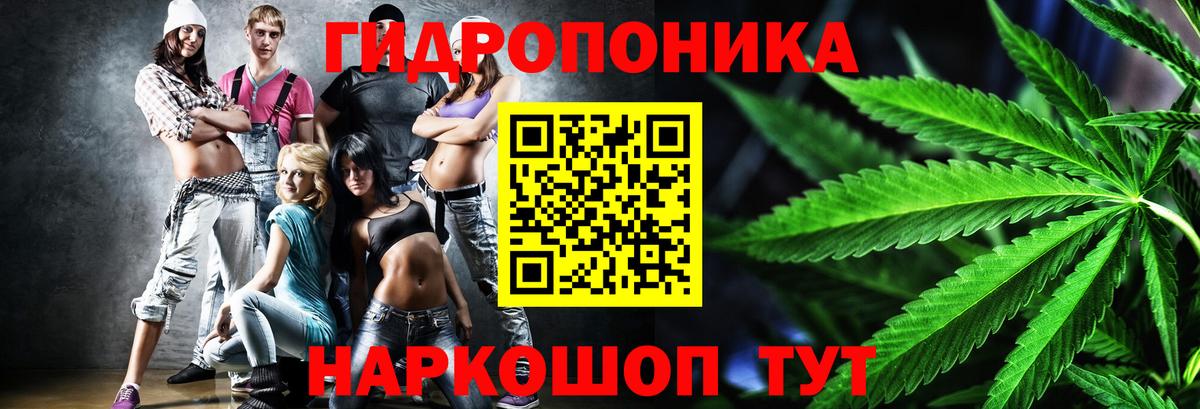Осинники  Бошки Шишки Ganja  Бошки Шишки сатива  Вход с VPN  Марихуана Amnesia 